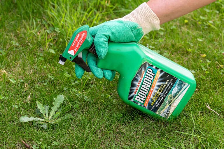 How Long Does Roundup Stay Active In The Soil?